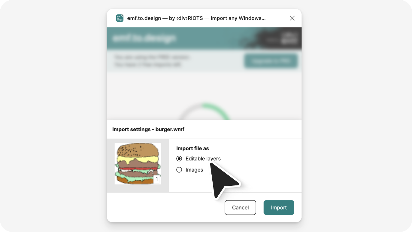 Image: Import settings after dragging EMF file into plugin interface